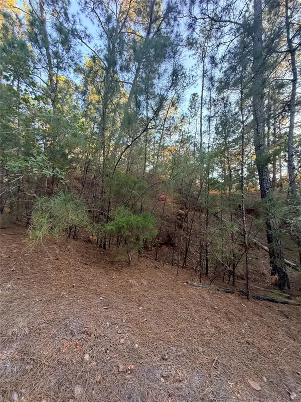TBD Okoe CT, Bastrop, TX 78602