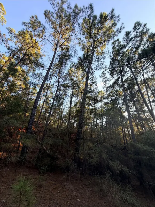 TBD Okoe CT, Bastrop, TX 78602
