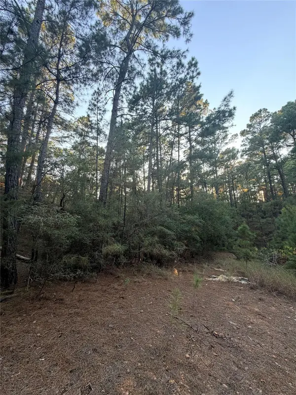 TBD Okoe CT, Bastrop, TX 78602