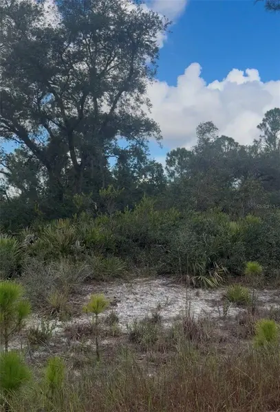3513 TURIN ST, Lake Placid, FL 33852