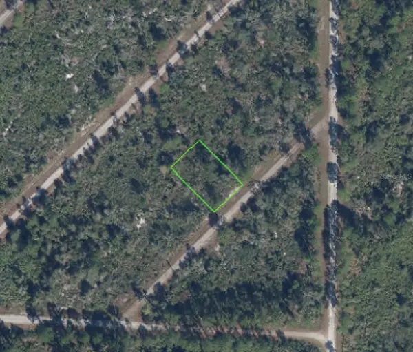 3513 TURIN ST, Lake Placid, FL 33852