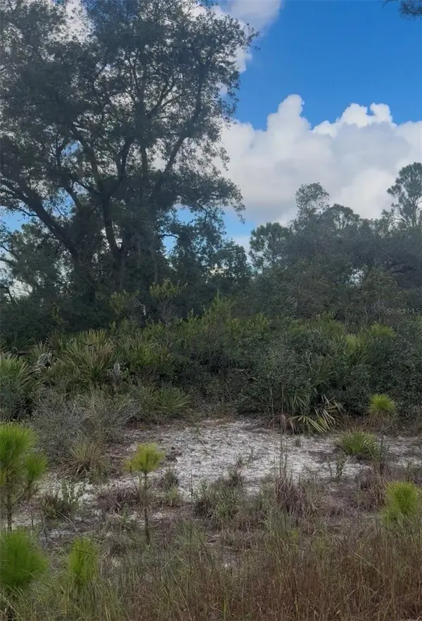 3513 TURIN ST, Lake Placid, FL 33852