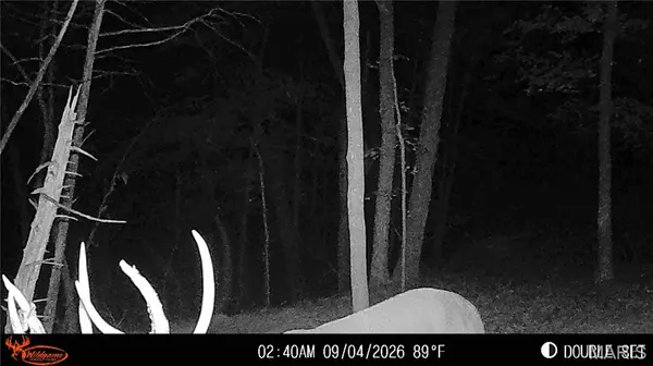 1652 Coles Creek Road, Hermann, MO 65041