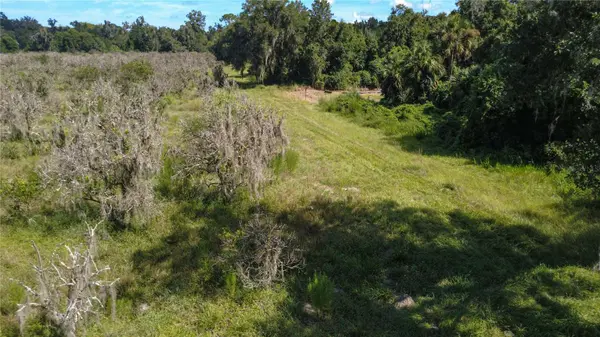 HOLLY HAMMOCK RD, De Leon Springs, FL 32130