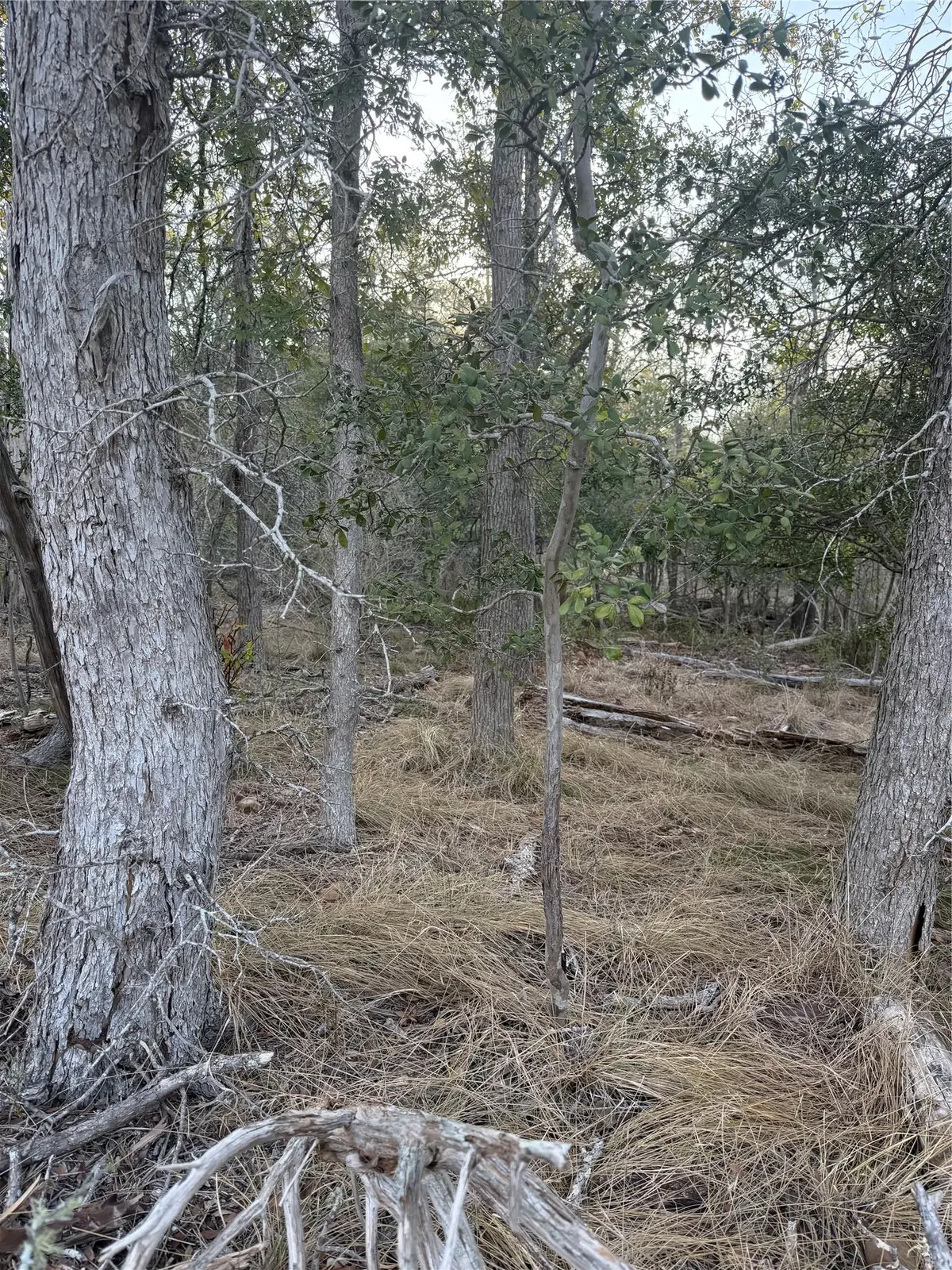 159 Helemano DR, Bastrop, TX 78602
