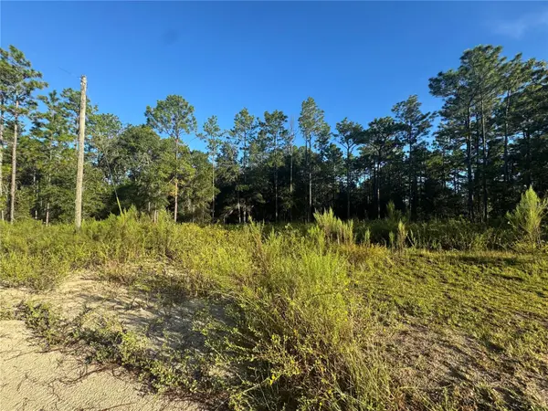 16327 SW 24TH PL, Ocala, FL 34481