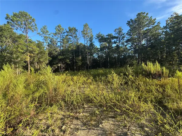 16327 SW 24TH PL, Ocala, FL 34481