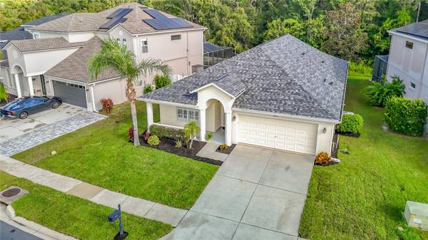 18453 CYPRESS BAY Pkwy, Land O Lakes, FL, 34638 photo 49