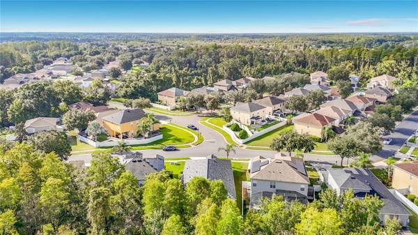 18453 CYPRESS BAY Pkwy, Land O Lakes, FL, 34638 photo 53