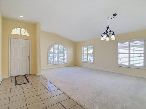 18453 CYPRESS BAY Pkwy, Land O Lakes, FL, 34638 photo 14