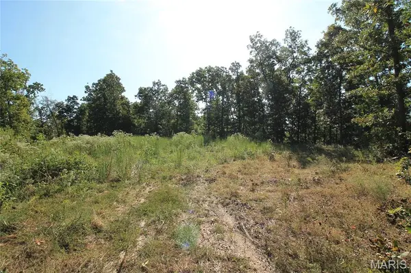 000 Coldwater Creek_Lot 17, Womack, MO 63645