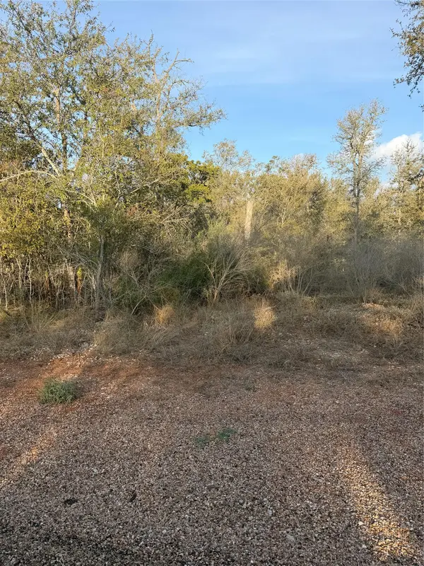 156 Helemano DR, Bastrop, TX 78602