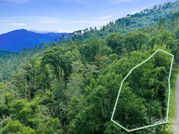 000 Winterberry RD #25, Burnsville, NC 28714