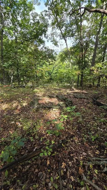 37 SE Lakeside DR, Lacygne, KS 66040