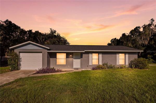 11720 SE 129TH PL, Ocklawaha, FL 32179