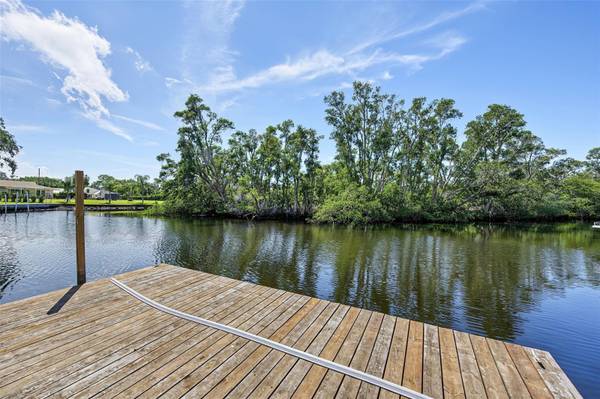 3143 PINEVIEW DR, Holiday, FL, 34691 photo 53