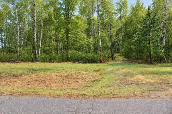 TBD 470th ST, Staples, MN 56479