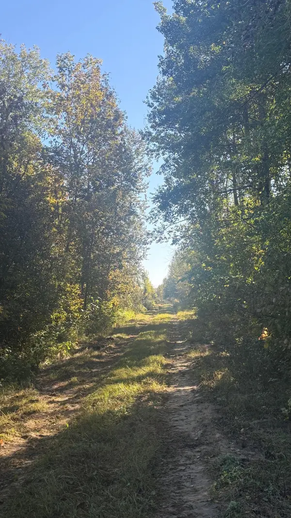 Parcel B Sunflower RD, Kelliher, MN 56650