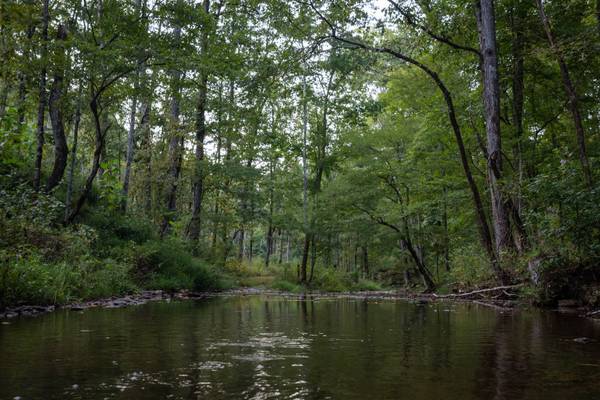 202 Ravenridge Rd, Summertown, TN 38483
