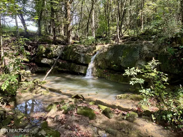 0 Cantwell Valley Rd, Sneedville, TN 37869