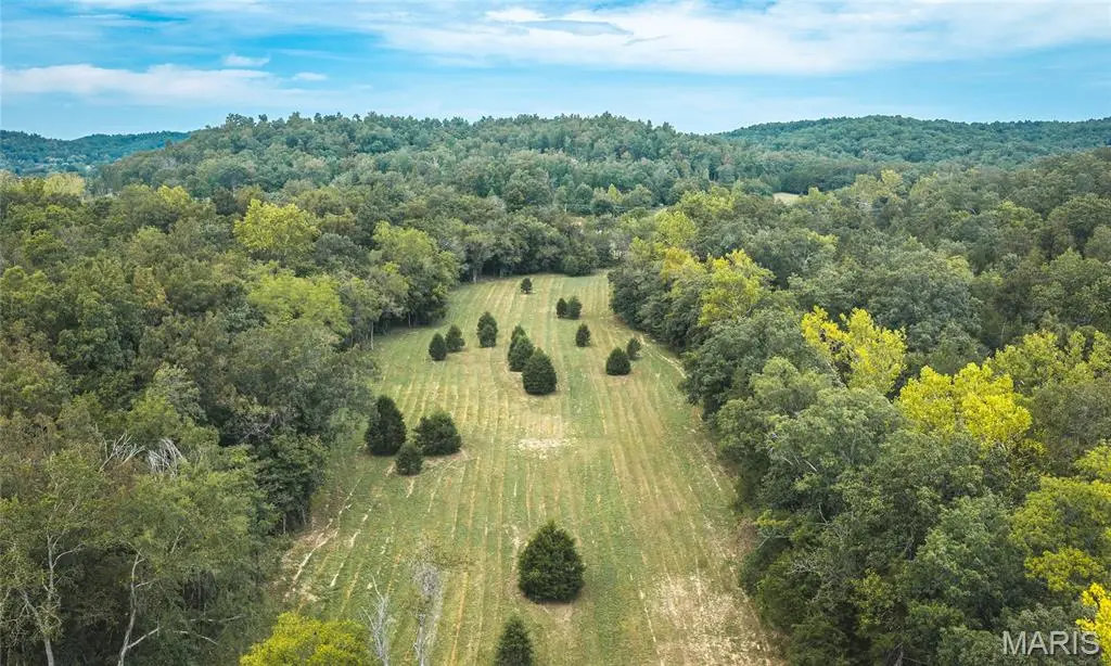 0 County Road 342 Tract 4, Lesterville, MO 63654