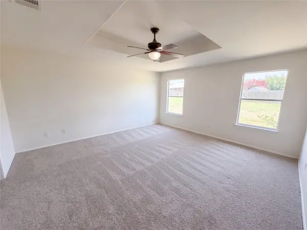 12816 Wooly Bucket CV, Elgin, TX 78621