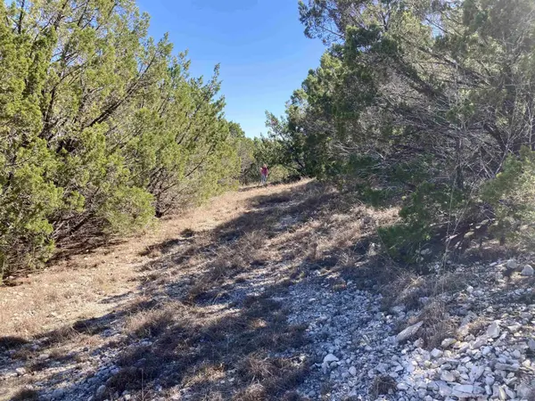 Lot 231 Whitewater Drive, Bertram, TX 78605