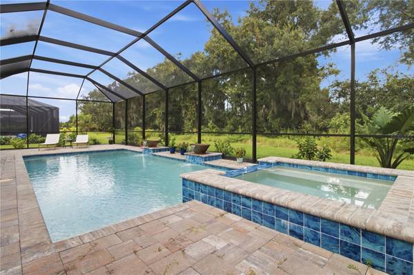 12807 WHEATGRASS COURT, Parrish, FL, 34219 photo 12