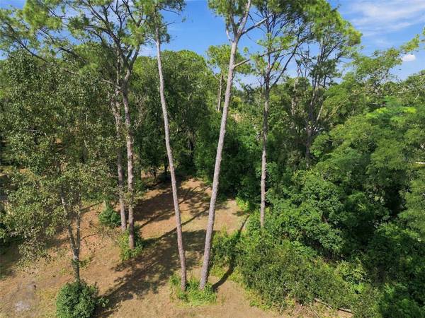 867 SUNSET LN, Lutz, FL, 33549 photo 24