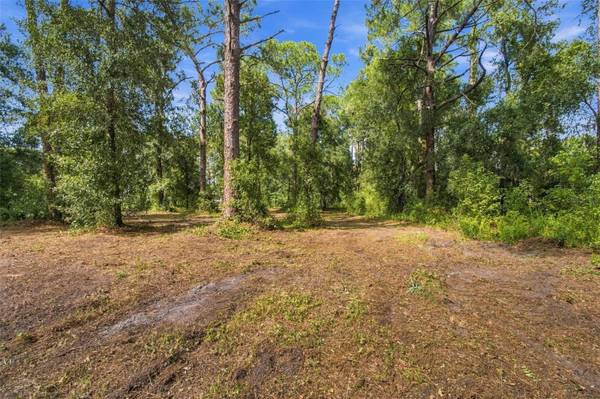 867 SUNSET LN, Lutz, FL, 33549 photo 11