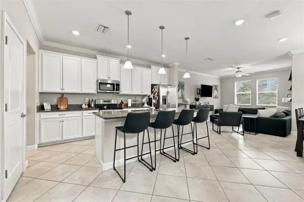 6611 ROCKY PARK ST, Tampa, FL 33625