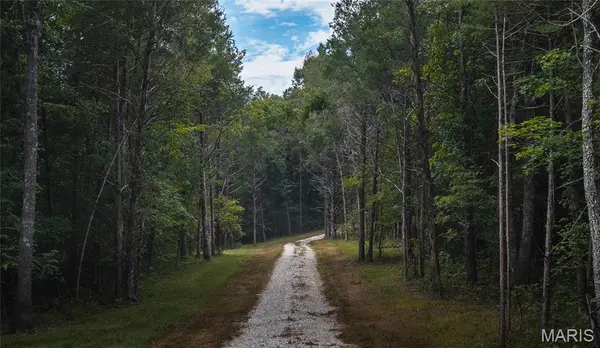 0 Highway 21 Tract 1, Lesterville, MO 63654