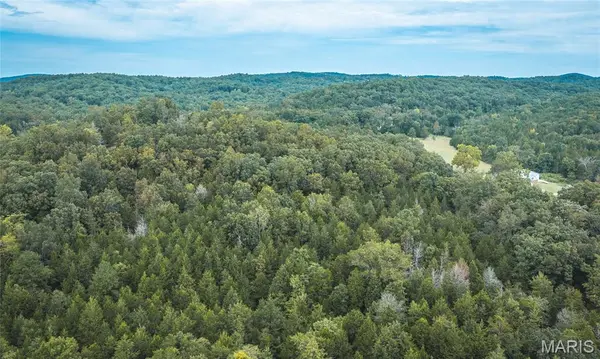 0 County Road 342 Tract 2, Lesterville, MO 63654