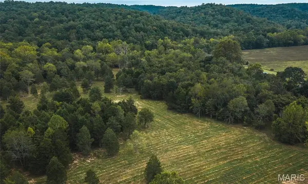 0 County Road 342 Tract 3, Lesterville, MO 63654