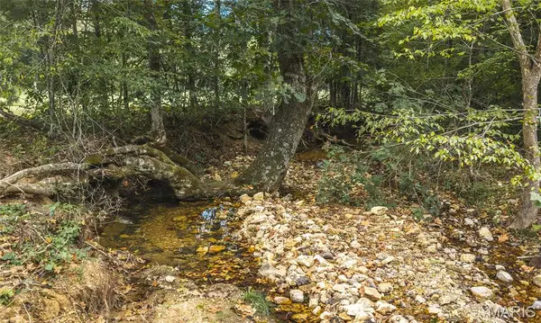 0 County Road 342 Tract 4, Lesterville, MO 63654