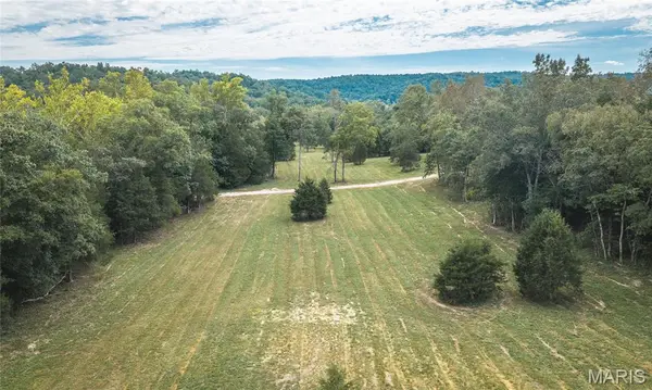0 County Road 342 Tract 4, Lesterville, MO 63654