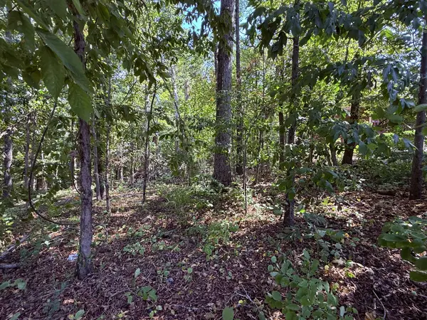510 Big Richland Dr, Waverly, TN 37185