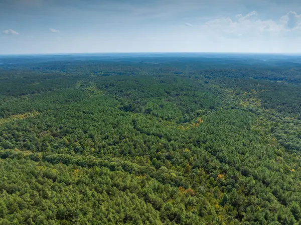 179 Wr Klippel Rd, Hohenwald, TN 38462
