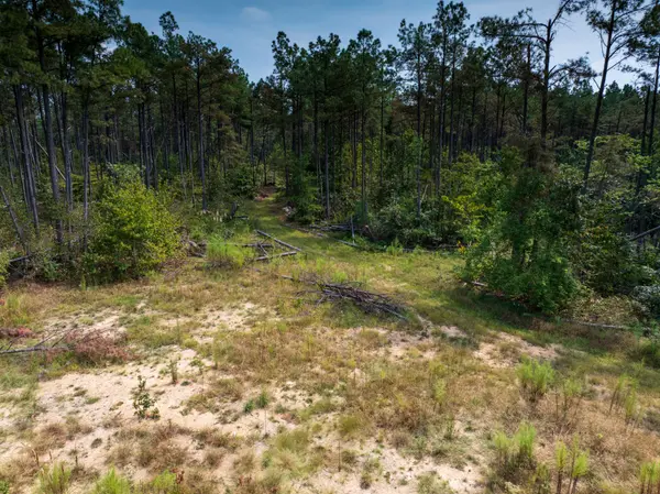179 Wr Klippel Rd, Hohenwald, TN 38462