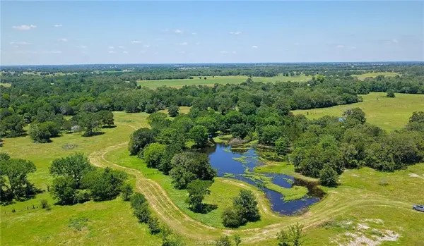 5380 County Road 132 (+/-81 acres), Somerville, TX 77879