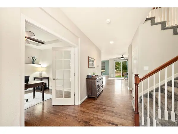 6101 Chesney, Windsor, CO 80550
