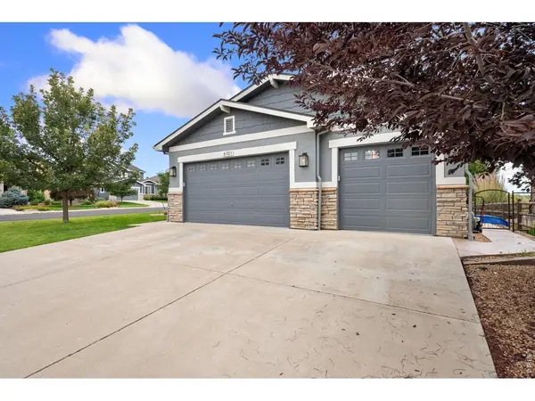 6101 Chesney, Windsor, CO 80550
