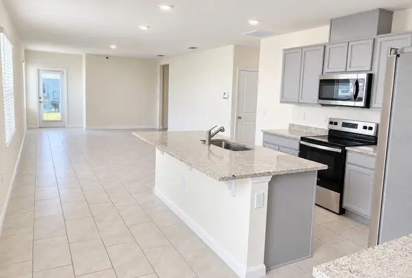 1011 BEAR HAMMOCK DR, Umatilla, FL 32784