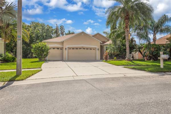 31230 ALCHESTER DR, Wesley Chapel, FL 33543