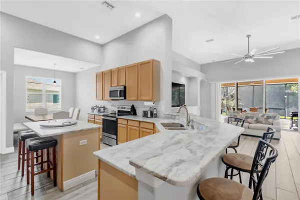 31230 ALCHESTER DR, Wesley Chapel, FL 33543