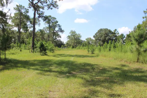 US HIGHWAY 98 W, Frostproof, FL 33843