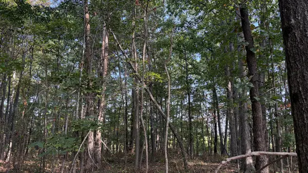 0 Stage Coach Rd, Sewanee, TN 37375