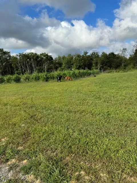 127 Rushing Springs Rd, Monterey, TN 38574