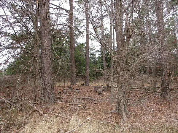 TBD Rains County Road 3040, Emory, TX 75440