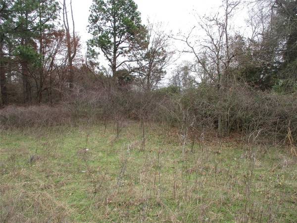 TBD Rains County Road 3040, Emory, TX 75440